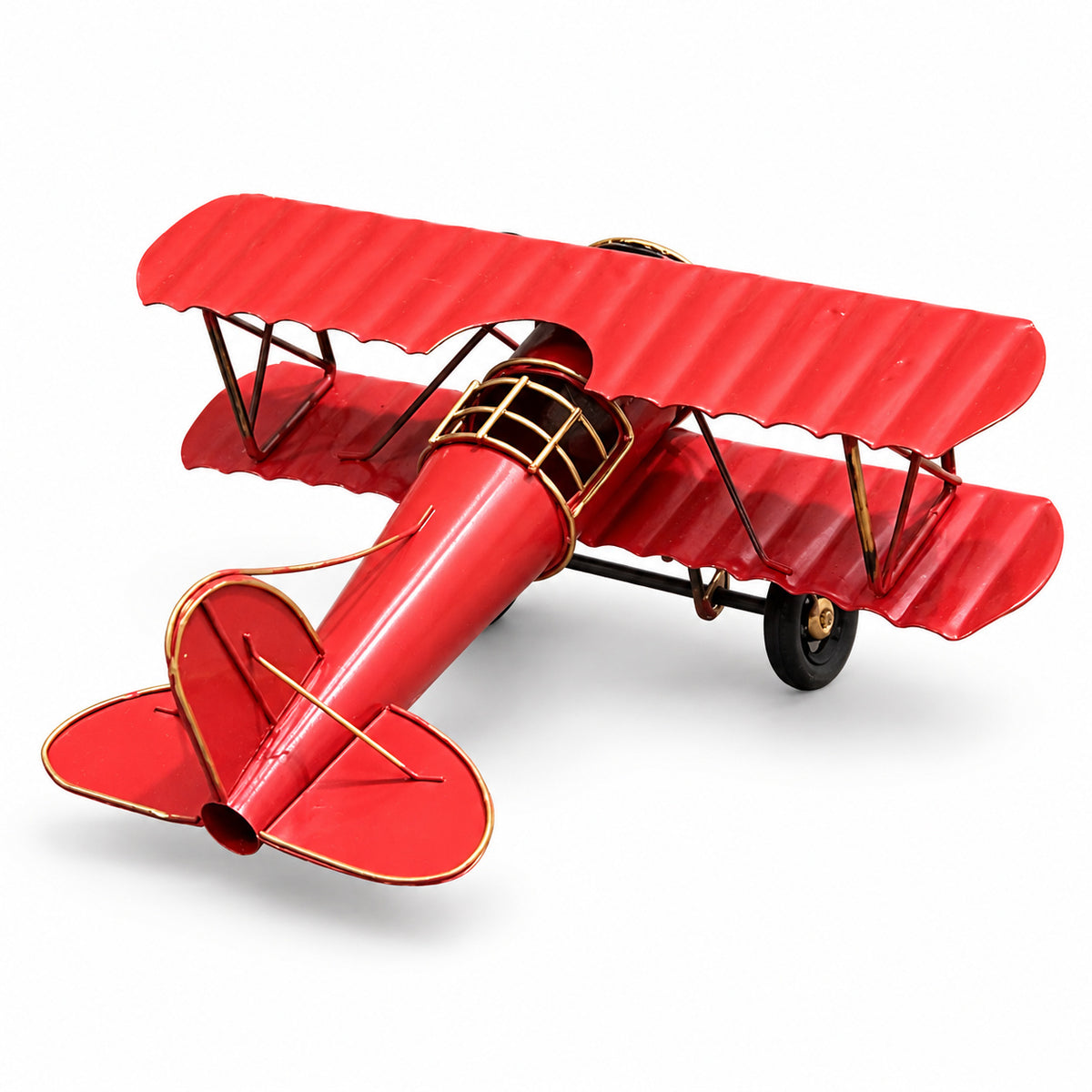 Aviator Biplane, rear view